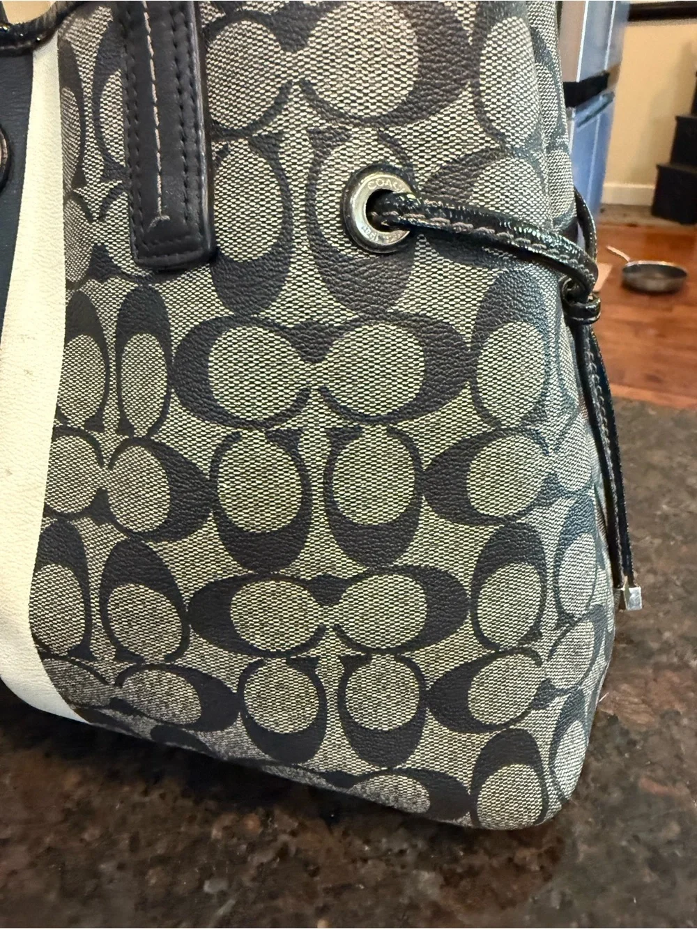 Coach Gray and Black Signature Stripe Tote